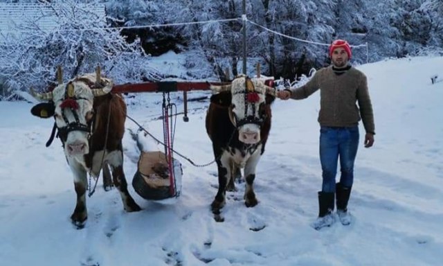 U šumi od jutra do mraka - srećniji od onih koji rade po kancelarijama?
