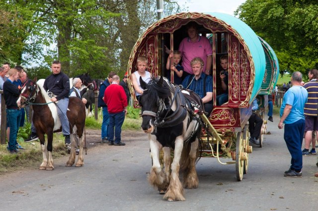 Koèije, gatanje iz dlana i kugle, ples: Najveæi romski festival privlaèi sve više turista