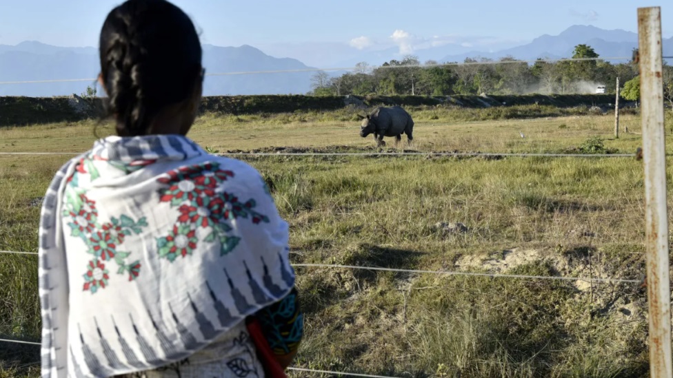 Visoko poštovanje lokalnog stanovništva u Manasu za svoje nosoroge bilo je kljuèno za podršku rastuæoj populaciji/Getty Images