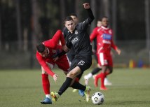 Miroslav Todoroviæ/FK Partizan