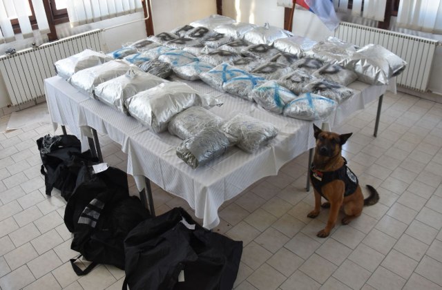 Policija u Novom Pazaru zaplenila 63 kilograma marihuane FOTO