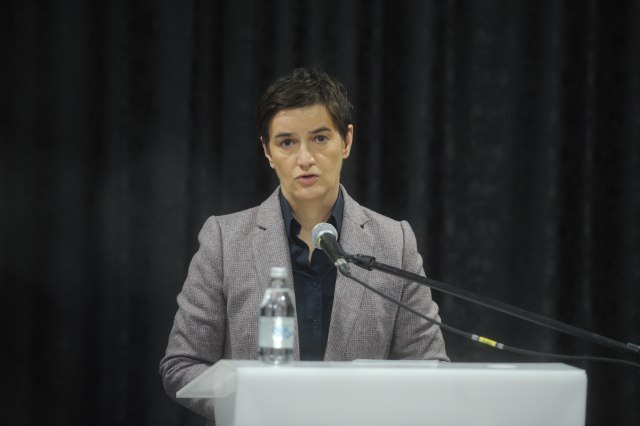 Danica Grujicic, first on SNS list for the parliamentary elections, Sapic in Belgrade