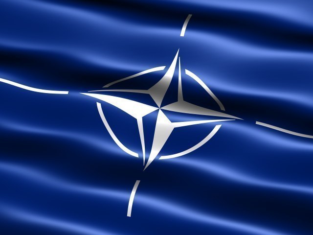 "Gruzija vidi buduænost u NATO-u"
