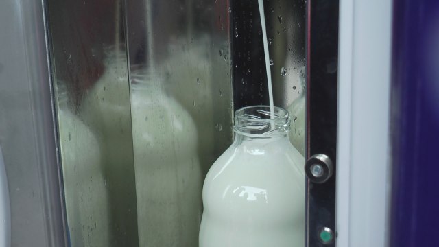 Ima deset krava i biznis u usponu - pronašao spasonosno rešenje za domaće mleko? FOTO