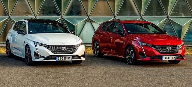 Dame biraju: Najbolji automobili za 2022.