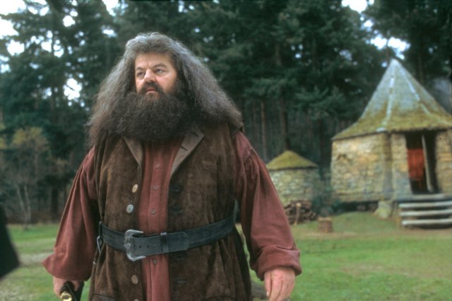 Postao samotnjak, živi u štali - kako danas živi voljeni Hagrid iz filma "Hari Poter"