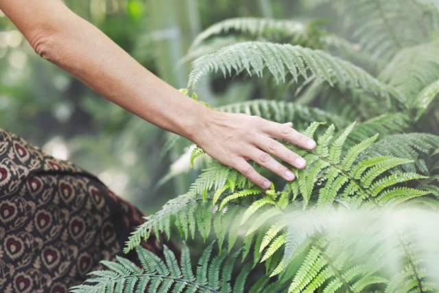 Sve više smo usamljeni, koliko je važan kontakt sa prirodom?