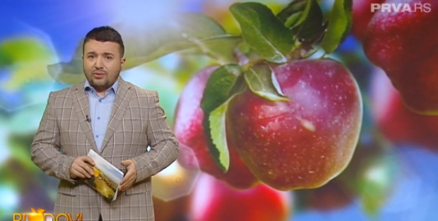 Plodovi - Subota, 12. mart - Gde se nalazi najveća farma prepelica u Srbiji?