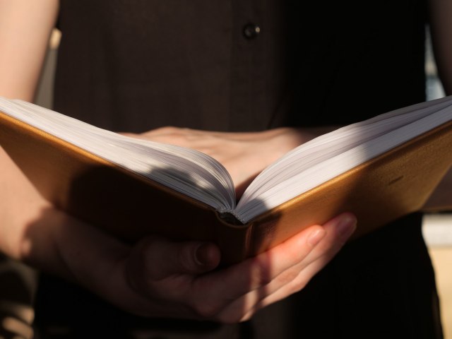 Ovo je najlepša srpska reè - da li se slažete sa izborom? ANKETA