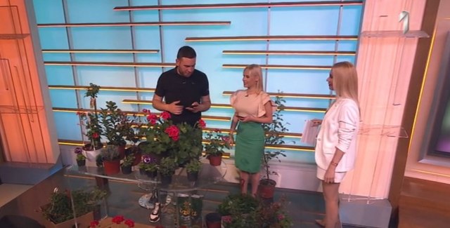 Kakva zemlja je najbolja za cveće, a koje biljke privlače novac VIDEO