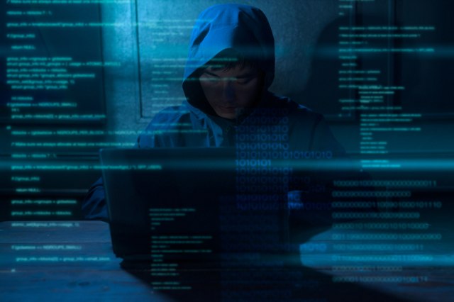 Sankcije i za IT kriminalce