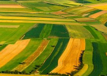 Ilustracija: Depositphotos/Svedoliver