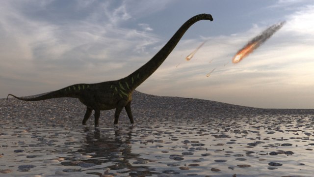 Pronaðen fosil koji "možda" potvrðuje da je asteroid zbrisao dinosauruse sa lica Zemlje