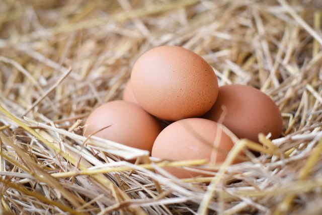 Da li znate da se jaja NE PERU pre kuvanja - evo zbog čega