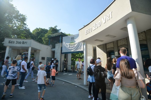 Ruzic for TV Prva: Regular classes in the inspected schools, others - online teaching