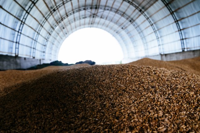 Poèeo izvoz žita iz ukrajinske Hersonske oblasti u Rusiju