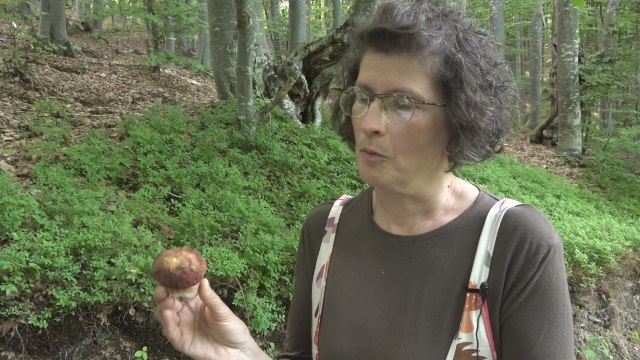 Milka je napustila novinarstvo kako bi izučavala gljive – otkrila zašto su presudne za čovečanstvo