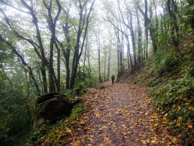 Nekada ostrvo u Panonskom moru, a sada atrakcija u Vojvodini: "Ovde je najèistiji vazduh"