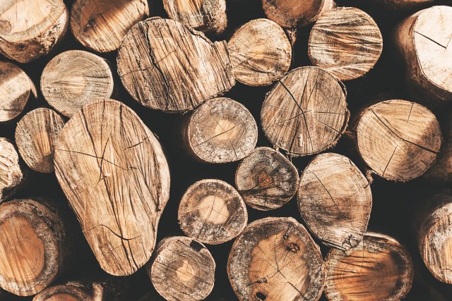 Predložena zabrana izvoza drveta iz BiH