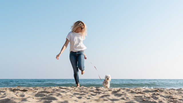 Rasprava na Reditu: Psi na plaži – higijenski ili ne? ANKETA