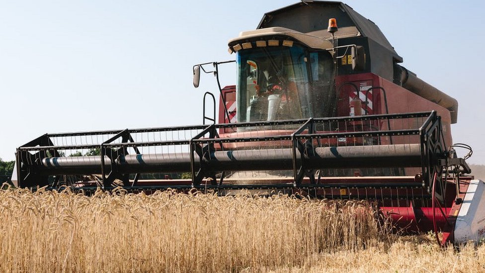 Ukrajina i hrana: Gde Rusija šalje ukrajinsko žito