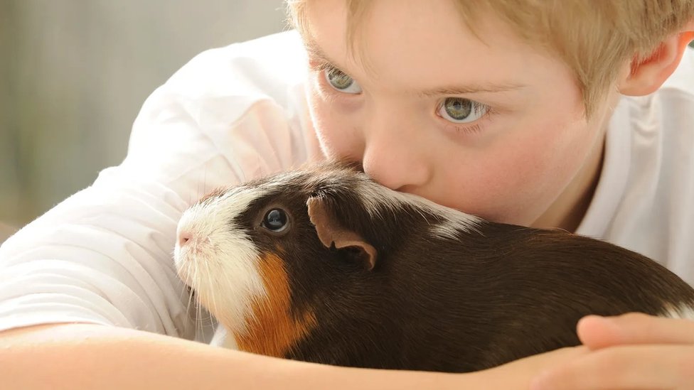 Životinje i mentalno zdravlje: Kako kućni ljubimci podstiču razvoj mozga tokom odrastanja dece