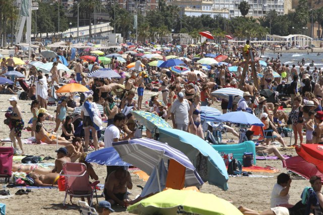 Cene rastu, a paradajz turizam cveta, fotografija postala hit na internetu: "Prešao si igricu"