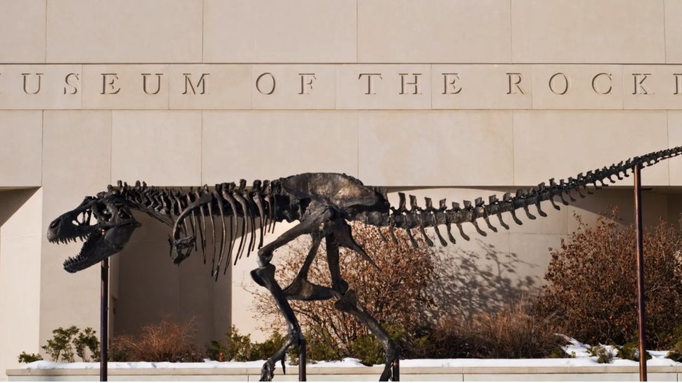 Nauka, životinje i istorija: Misterija parenja dinosaurusa