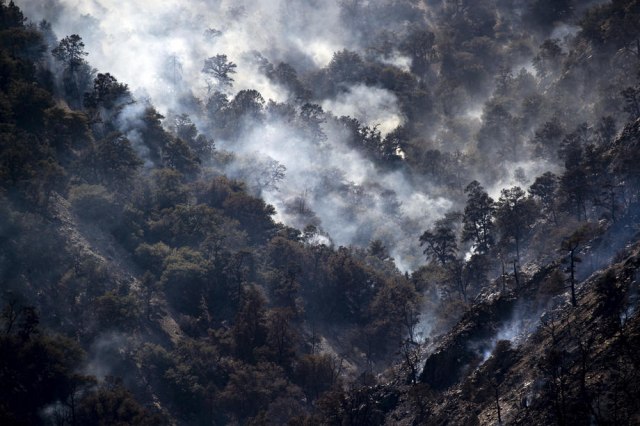 Veliki šumski požar u Kaliforniji: Gori nacionalni park