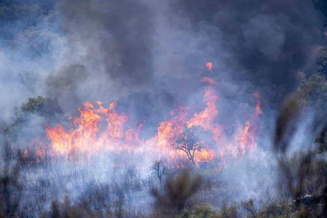 Požari i dalje bukte u Španiji, Portugalu i Francuskoj; hiljade vatrogasaca na terenu