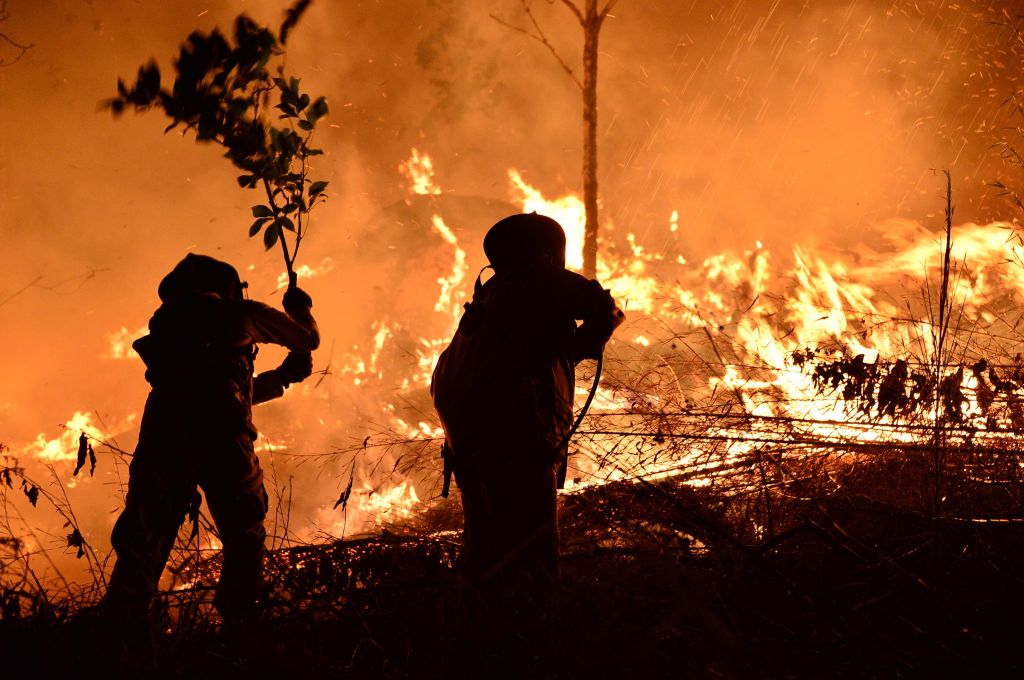 Vatrogasci u Hondurasu imaju specijalna odela, ali koriste i grane kako bi ugasili vatru/Getty Images