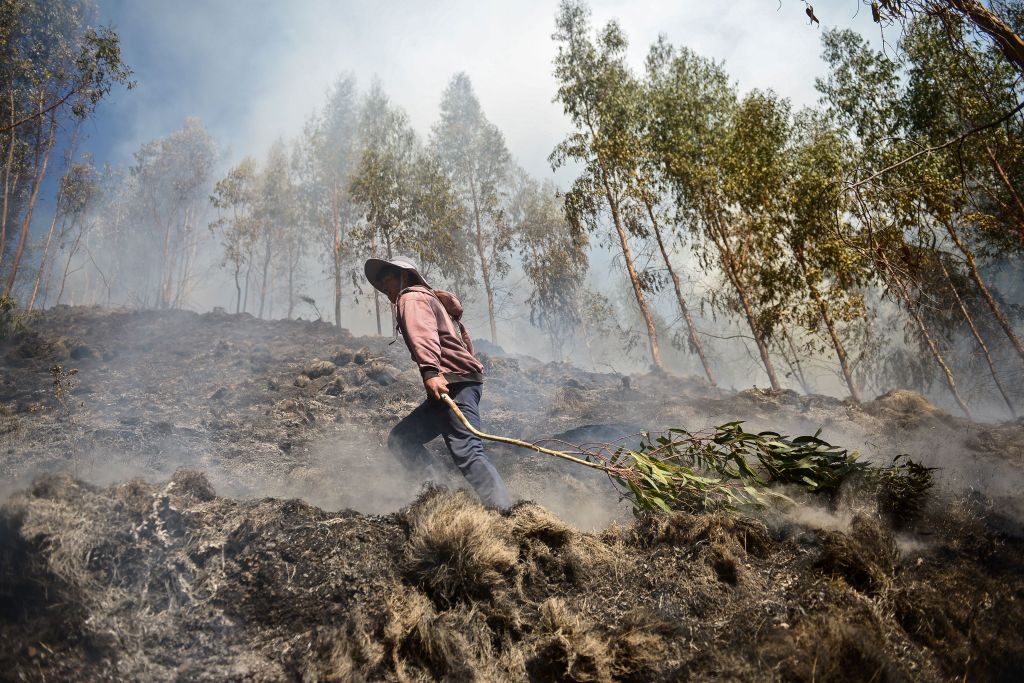 Čovek vuče granu nakon gašenja požara u Peruu, oktobar 2020./Getty Images