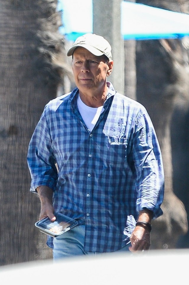 UPRKOS TEŠKOJ BOLESTI Brus Vilis uživa sa ćerkom - supruga objavila PREDIVAN VIDEO!