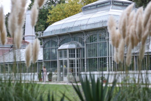 Skriveno blago: Biblioteka Instituta za botaniku – jedna od najstarijih i najbogatijih u jugoistoènoj Evropi