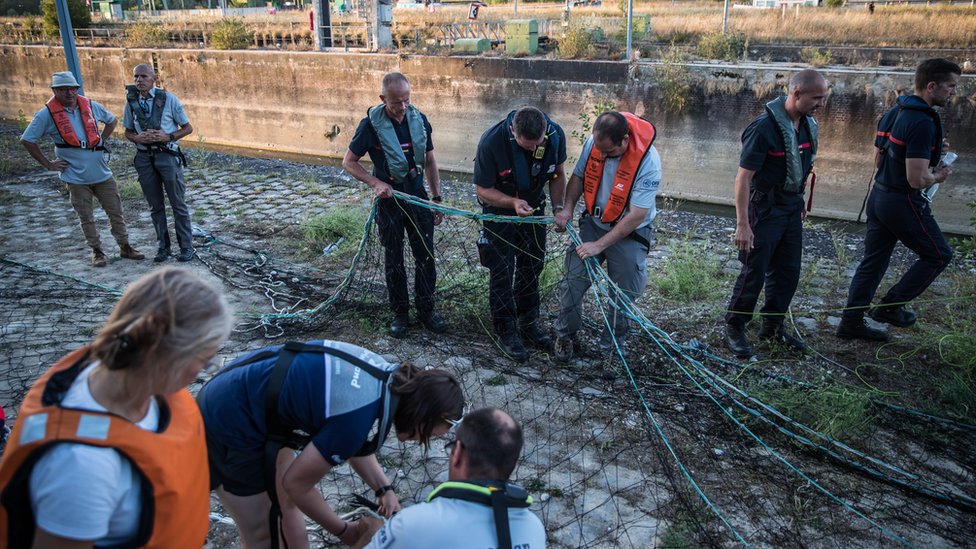 Više od 80 ljudi uèestvovalo je u akciji izvlaèenja kita iz reke u Normandiji/EPA