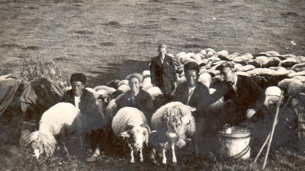 Srbija, selo i ovèarstvo: "Nekada je moglo da se živi od 50 grla, a danas ni od 200" - zašto je pirotska ovca na ivici opstanka