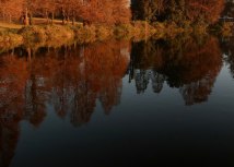 EPA-EFE/KIM LUDBROOK