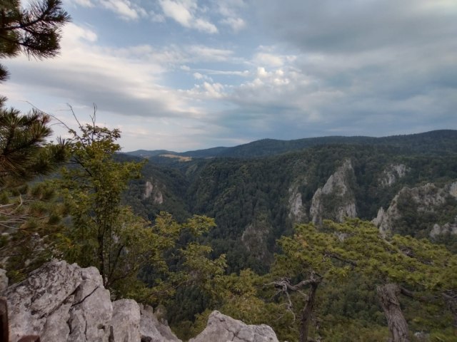 Vrata raja otvaraju se na ovoj srpskoj planini: Sokolarica je nestvarno lep vidikovac na Tari
