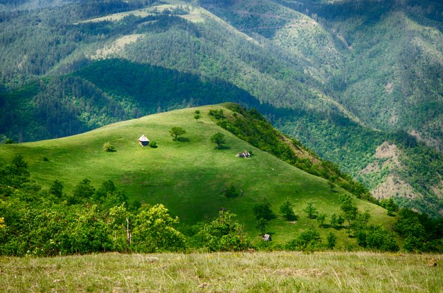 Više od 100.000 turista: Jedina srpska planina koja je ove godine oborila sve rekorde
