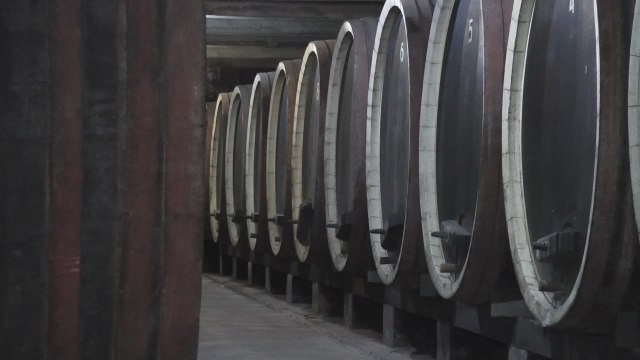 Mesto gde se èuvaju najskuplja vina na Balkanu: Kralj Aleksandar Karaðorðeviæ ih ostavio Srbima