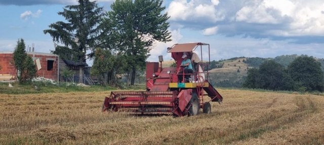 Prestonica heljde u Zapadnoj Srbiji - Zlatar ispunjava sve kriterijume za izvoz