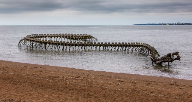 Neverovatna simbolika: Zmija dugaèka 130 metara na francuskoj obali FOTO