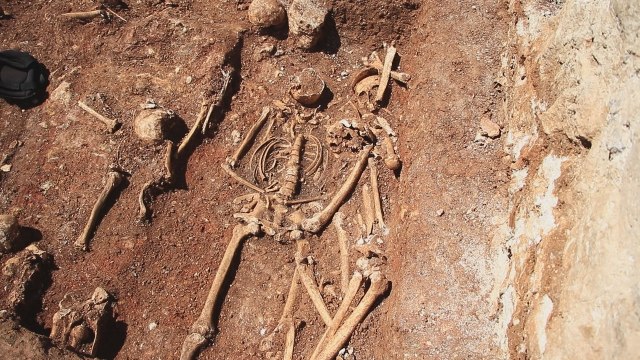 Kopali put, pa pronašli ljudske kosti: Radnici odmah obavestili policiju