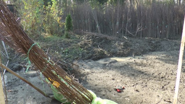 Odustali od oraha i lešnika: Srpski voćari ponovo hrle za ovim voćkama