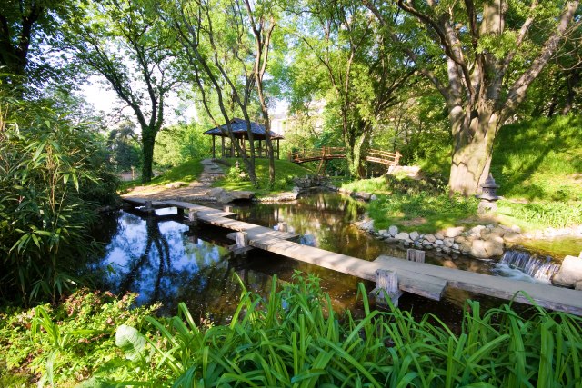 Botanička bašta u Novom Sadu na više od 40.000 kvadratnih metara