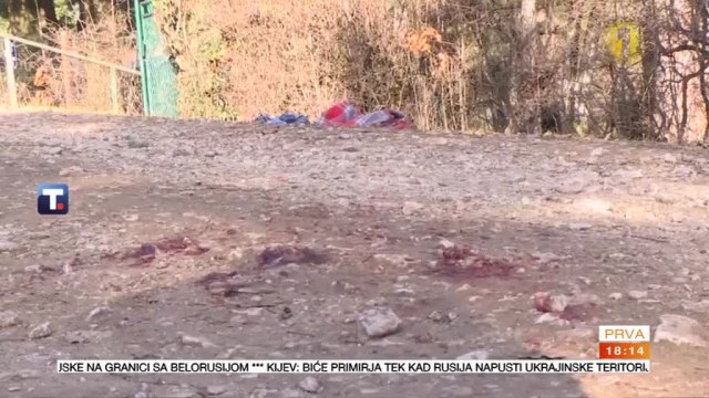 Uhapšena žena koja je brinula o psima koji su nasmrt izujedali novinara VIDEO