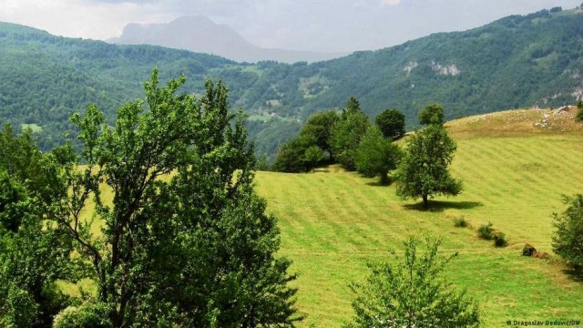 "Moja prva crnogorska noæ. Bockala me slama iz ležaja"