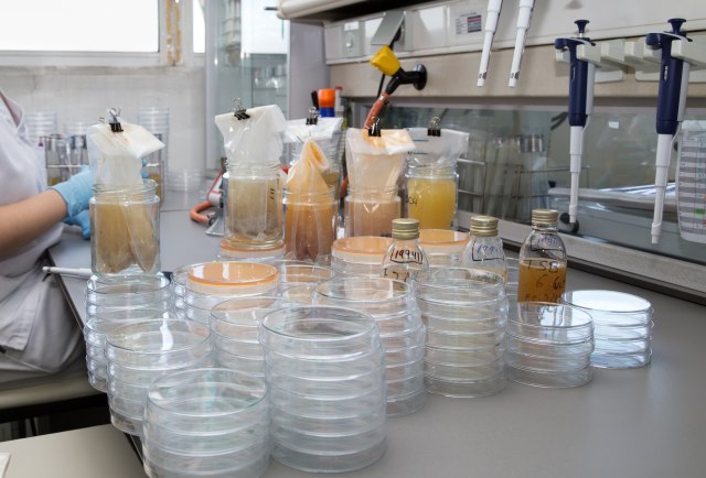 Otvorena laboratorija za senzorsku ocenu kvaliteta hrane na èaèanskom fakultetu