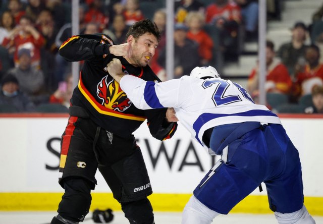 Milan Luèiæ pravio haos u NHL VIDEO