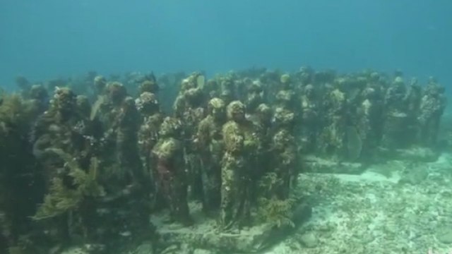 Èaèani overili i Karipsko more, hrabri ronioci iz Srbije istražuju podvodne lepote širom sveta